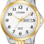 Citizen BF5004-93A