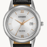 Citizen FE1086-04A