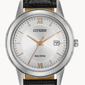 Citizen FE1086-04A
