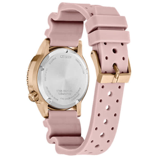 Citizen EO2023-00A