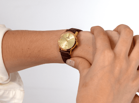Festina F20017/2
