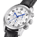 Festina F20041/1
