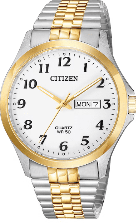Citizen BF5004-93A